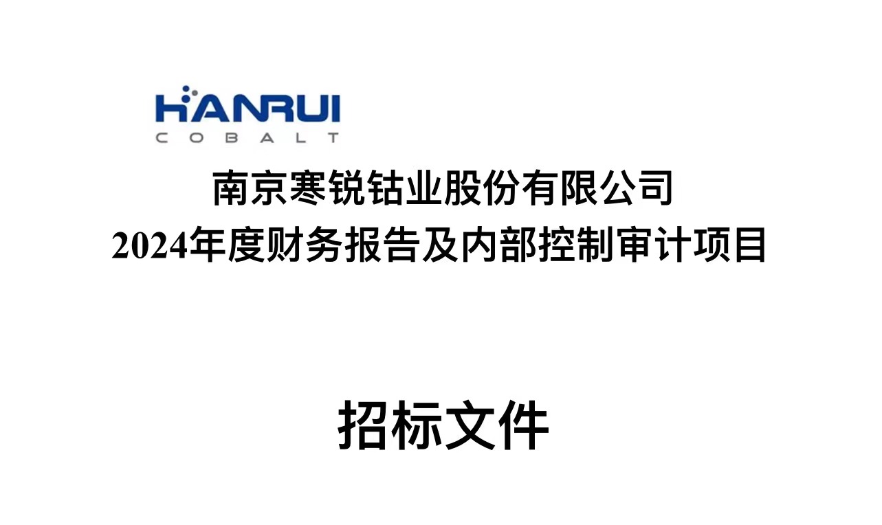 南京球速体育股份有限公司 2024年度财务报告及内部控制审计项目招标文件